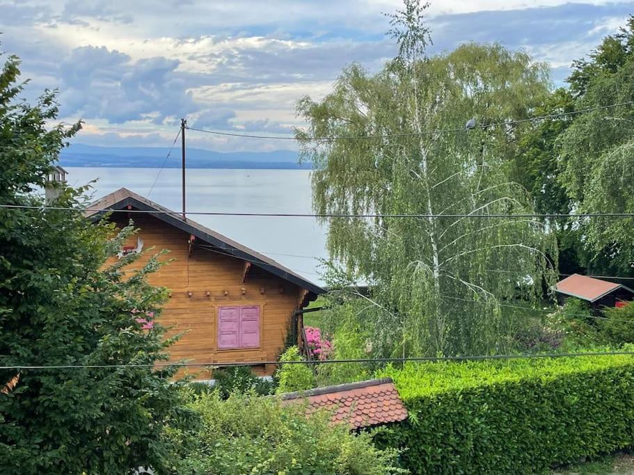 La Veranda De La Mouette Thonon-les-Bains Dış mekan fotoğraf